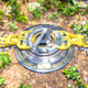 Image: Disney Parks Blog
